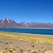 Laguna Miscanti