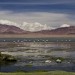 Salar de Tara