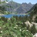 Sorbier au dessus du lac de Gaube
