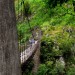 Passerelle d'Holzart� 5