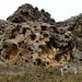 Taffonis gr�seuses