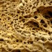 Taffonis gr�seuses