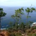 Vue sur la c�te