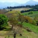 Pr�s du Col de Nabarlatz (vue sur la Rhune)