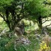 Source sur le flanc de l'Atxuria