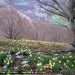 Depuis le Garmo Negro