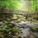 Cirque de Saint M�me - Chartreuse