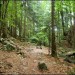 Cirque de Saint M�me - Chartreuse