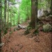 Cirque de Saint M�me - Chartreuse