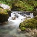 Cirque de Saint M�me - Chartreuse