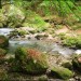 Cirque de Saint M�me - Chartreuse