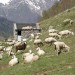 Cabane Matte
