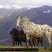 Au Soum de Tr�es