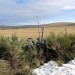 Randonn�e plateau de l'Aubrac