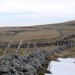 Sur l'Aubrac