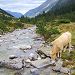 Ruisseau au dessus de La Fruiti�re