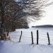 Neige sur le plateau de l'Aubrac