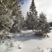 Aubrac sous la neige