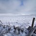 Plateau de l'Aubrac