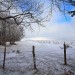 Plateau de l'Aubrac