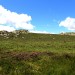 Randonn�e plateau de l'Aubrac Col de Bonnecombe
