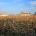 Randonn�e � Saint Emilion