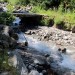 Passerelle au dessus d'un ruisseau lors de la mont�e au Lac du Lauvitel, Massif des Ecrins 