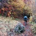 Randonn�e p�destre sur le Plateau de l'Aubrac en Aveyron (12) La Voie Romaine