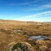 Randonn�e Aubrac entre les village de Laguiole et d'Aubrac