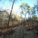 Les sentier VTT de Saint M�dard en Jalles
