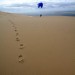 Parapente sur la dune du Pyla