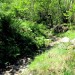Mont�e lors de la randonn�e au Lac du Lauvitel, Massif des Ecrins