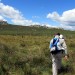 Randonn�e Aubrac: pr�s du Col de Bonnecombe 
