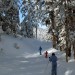 Ski de fond dans la for�t sur le domaine de Payolle