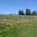 Balade en VTT entre Lastresne et Cr�on