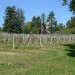 Balade en VTT entre Lastresne et Cr�on