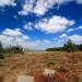 Randonn�e depuis le col de Bonnecombe