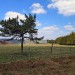 Randonn�e en Loz�re depuis le col de Bonnecombe