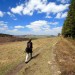 Randonn�e en Loz�re depuis le col de Bonnecombe