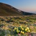 Serre de Montu�
