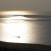 Dune du Pyla