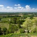 Randonn�e dans les vignes autour de Sainte Croix du Mont