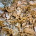 Huitres fossilis�es de Sainte Croix du Mont