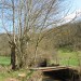 Passerelle lors de la randonn�e � Agnac Ampiac
