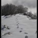 Le soum d'Andorre