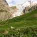 Mont Dolent