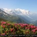 Mont Blanc 