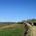 Randonn�e autour d'Estaing et de Saint Geniez des Ers, en Aveyron