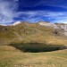 Jonquilles sur l'Aubrac, randonn�e en Loz�re