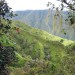 Randonn�e au Mont Aorai � Tahiti